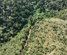  O IAT emitiu 154 Autos de Infração Ambiental (AIA) em sete municípios do Vale do Ribeira
