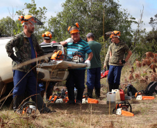 Dia do Voluntariado