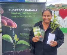 FLORESCE PARANA