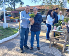 FLORESCE PARANA