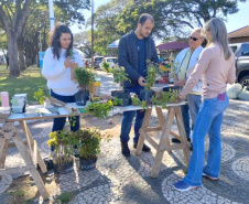 FLORESCE PARANA