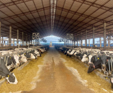 Crédito de longo prazo do BRDE impulsiona produção leiteira em Arapoti