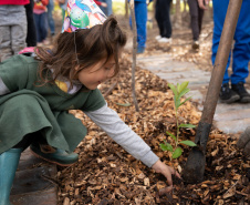 Estado lança material de educação ambiental para ser trabalhado em sala de aula