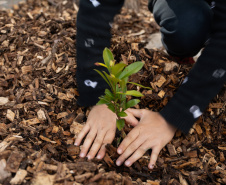 Estado lança material de educação ambiental para ser trabalhado em sala de aula