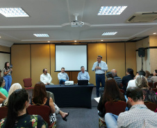 Estado discute regionalização com municípios e Ministério da Saúde em encontro do PRI 