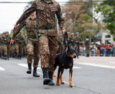 Milhares de pessoas participam do desfile de 7 de setembro em Curitiba