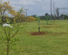 Polícia Penal lança projeto ambiental em conjunto com Prefeitura de Ponta Grossa e a Rotary Clube