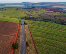 Leilão do 2º lote das novas concessões rodoviárias do Paraná será no dia 29