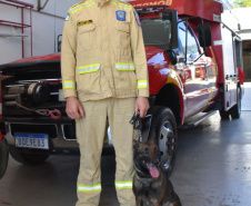 BOMBEIROS