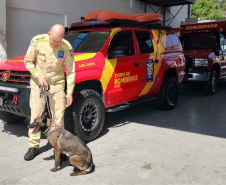 BOMBEIROS