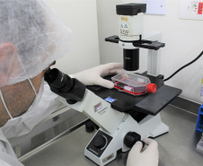 China passa a aceitar laudos do Tecpar para sorologia antirrábica veterinária