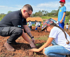 Instituto Água e Terra (IAT) já distribuiu mais de 8,5 milhões de mudas de espécies nativas desde 2019 , 70 mil delas apenas nesta semana, em comemoração ao Dia da Árvore.