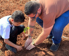 Instituto Água e Terra (IAT) já distribuiu mais de 8,5 milhões de mudas de espécies nativas desde 2019 , 70 mil delas apenas nesta semana, em comemoração ao Dia da Árvore.