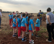 Instituto Água e Terra (IAT) já distribuiu mais de 8,5 milhões de mudas de espécies nativas desde 2019 , 70 mil delas apenas nesta semana, em comemoração ao Dia da Árvore.