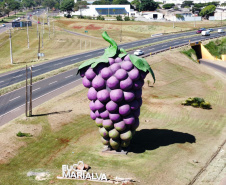 Com reconhecimento nacional, Marialva reforça vocação como maior produtora de uvas do Paraná