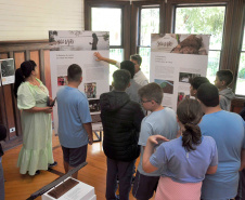 Casa Gomm abre exposição sobre canoa ancestral encontrada em sítio arqueológico