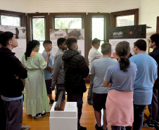 Casa Gomm abre exposição sobre canoa ancestral encontrada em sítio arqueológico