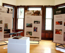 Casa Gomm abre exposição sobre canoa ancestral encontrada em sítio arqueológico