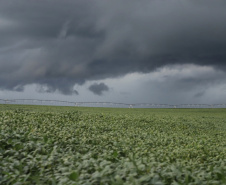 Plano de Ação Climática