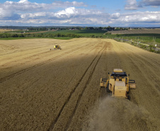 Com VBP agrícola de R$ 84,1 bilhões, Paraná lidera produção nacional de cevada, feijão e mandioca 