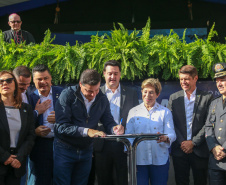PONTA GROSSA
