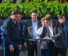 PONTA GROSSA