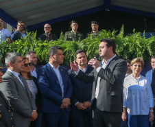 PONTA GROSSA