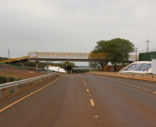 bandeirantes