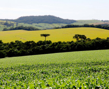 AGRO