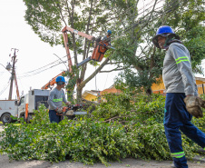 Temporais com ventos fortes afetam rede de energia com cada vez mais intensidade