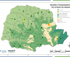 Instituto Água e Terra (IAT) já distribuiu mais de 8,5 milhões de mudas de espécies nativas desde 2019 , 70 mil delas apenas nesta semana, em comemoração ao Dia da Árvore.