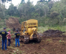 A sétima edição da Operação Mata Atlântica em Pé aplicou mais de R$ 28 milhões em multas por desmatamento ilegal no Paraná.