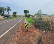 Rodovia entre Doutor Camargo e Floresta tem obras de segurança viária e recuperação de erosão