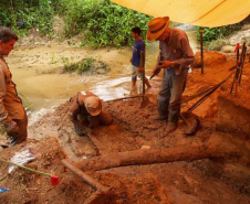 Casa Gomm abre exposição sobre canoa ancestral encontrada em sítio arqueológico