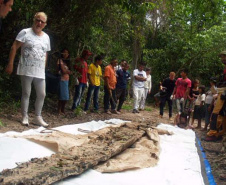 Casa Gomm abre exposição sobre canoa ancestral encontrada em sítio arqueológico