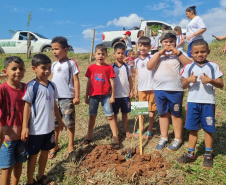 Estado supera meta e distribui mais de 97 mil mudas durante a Semana da Árvore