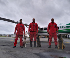 Bombeiros e cães do Paraná embarcaram neste sábado para ajudar o Rio Grande do Sul