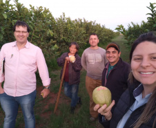 Dedicação dos produtores faz Carlópolis ser conhecida como Capital Nacional da Goiaba de Mesa.