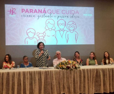 sesa londrina
