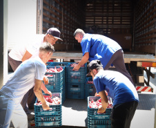 A Ceasa de Curitiba envia nesta quarta-feira (11) 12  toneladas de alimentos para Rio Negro e União da Vitória, cidades atingidas pelas chuvas e cheias nos rios no último final de semana.  