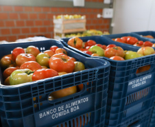 A Ceasa de Curitiba envia nesta quarta-feira (11) 12  toneladas de alimentos para Rio Negro e União da Vitória, cidades atingidas pelas chuvas e cheias nos rios no último final de semana.  