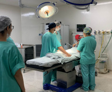Dia do Médico: Sesa ressalta atendimento humanizado e comprometido com a população 