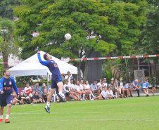 Punhobol 