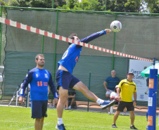 Punhobol 