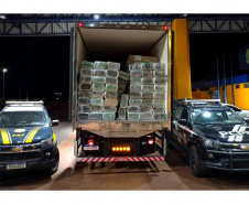 Paraná é campeão em apreensões de maconha em todo o país de acordo com dados do Ministério da Justiça