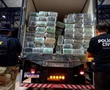 Paraná é campeão em apreensões de maconha em todo o país de acordo com dados do Ministério da Justiça