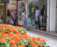 Número de consumidores que pedem CPF na nota supera 9 milhões pela 1ª vez na história do Nota Paraná
