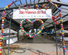 Tradicional erva-mate de São Mateus do Sul se reinventa e ganha novos mercados