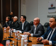 Reunião online governador