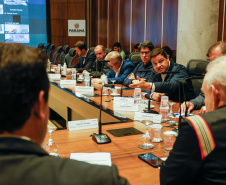 Reunião online governador